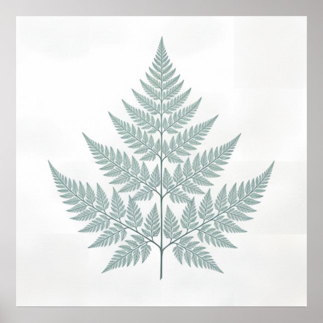 Fern Botanical Print Poster (Front)