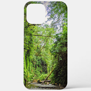 Fern Canyon Green Walls in Redwoods National Park iPhone 12 Pro Max Case