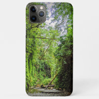 Fern Canyon Green Walls in Redwoods National Park