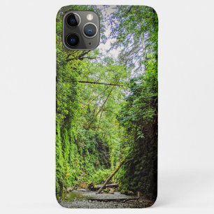 Fern Canyon Green Walls in Redwoods National Park iPhone 11 Pro Max Case