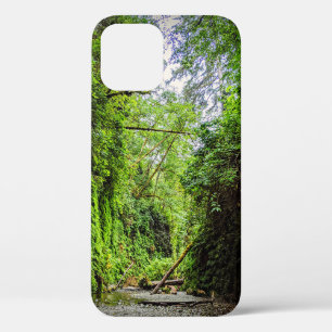 Fern Canyon Green Walls in Redwoods National Park iPhone 12 Pro Case