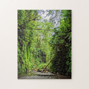 Fern Canyon Green Walls in Redwoods National Park Jigsaw Puzzle