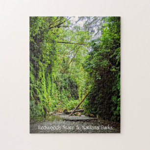 Fern Canyon Green Walls in Redwoods National Park Jigsaw Puzzle