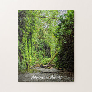 Fern Canyon Green Walls in Redwoods National Park Jigsaw Puzzle