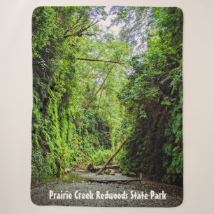 Fern Canyon Green Walls in Redwoods National Park Sherpa Blanket
