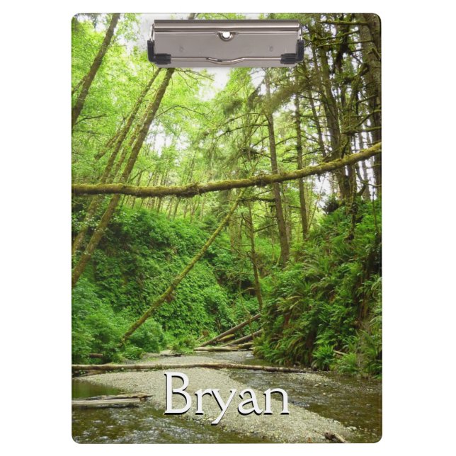 Fern Canyon I at Redwood National Park Clipboard (Front)