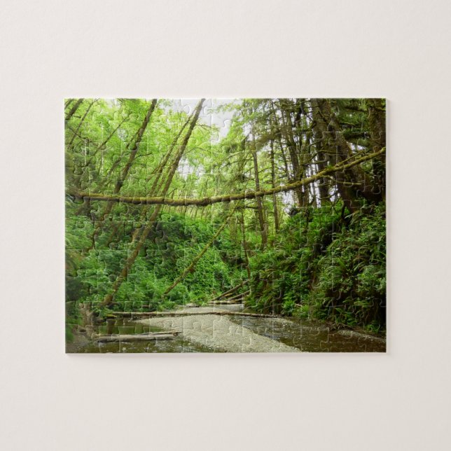 Fern Canyon I at Redwood National Park Jigsaw Puzzle (Horizontal)