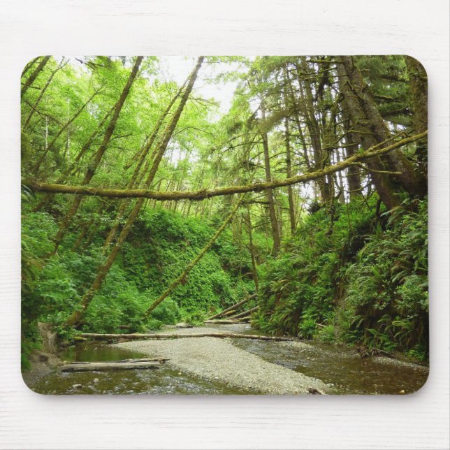 Fern Canyon I at Redwood National Park Mouse Pad (Front)