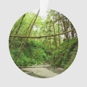Fern Canyon I at Redwood National Park Ornament