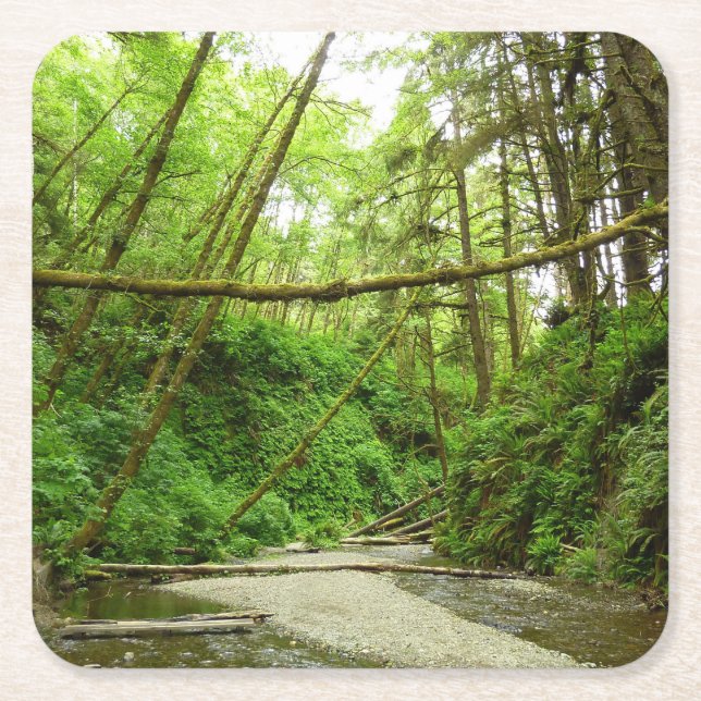 Fern Canyon I at Redwood National Park Square Paper Coaster (Front)
