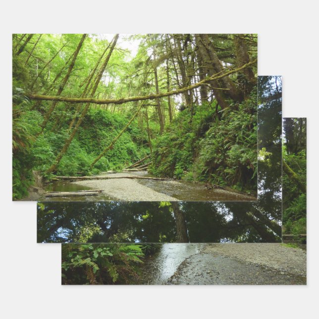 Fern Canyon I Wrapping Paper Sheet (Set)
