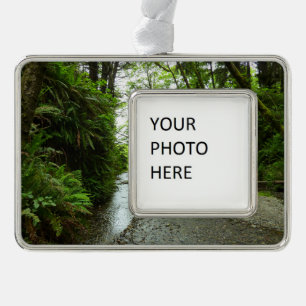 Fern Canyon II at Redwood National Park Silver Plated Framed Ornament