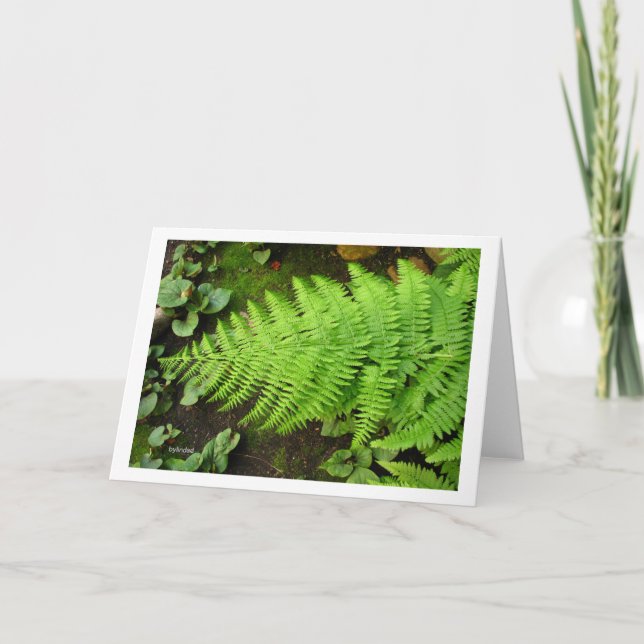 Fern Card (Front)