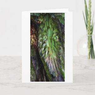 "Fern" Digitally Enhanced Fern in the Forest/Woods Card