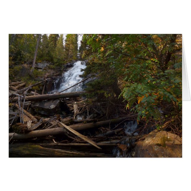 Fern Falls at Rocky Mountain National Park (Front Horizontal)