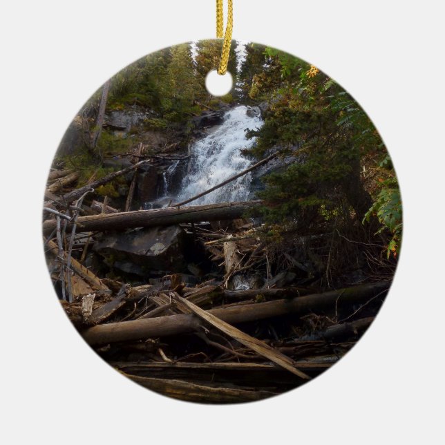 Fern Falls at Rocky Mountain National Park Ceramic Ornament (Front)