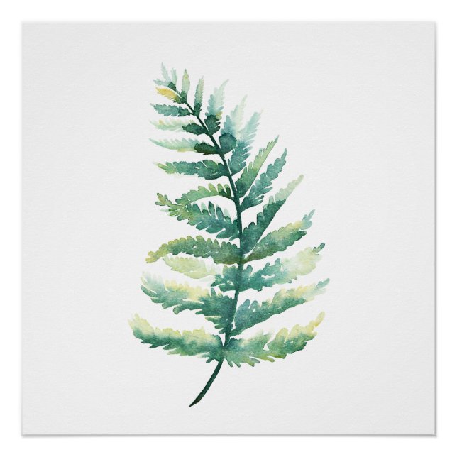 Fern Frond Botanical Watercolor Poster Print (Front)