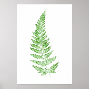 Fern frond leaf green watercolor print