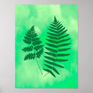Fern Fronds, Green on a Watercolor Background Poster