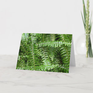 Fern Fronds I Green Nature Card