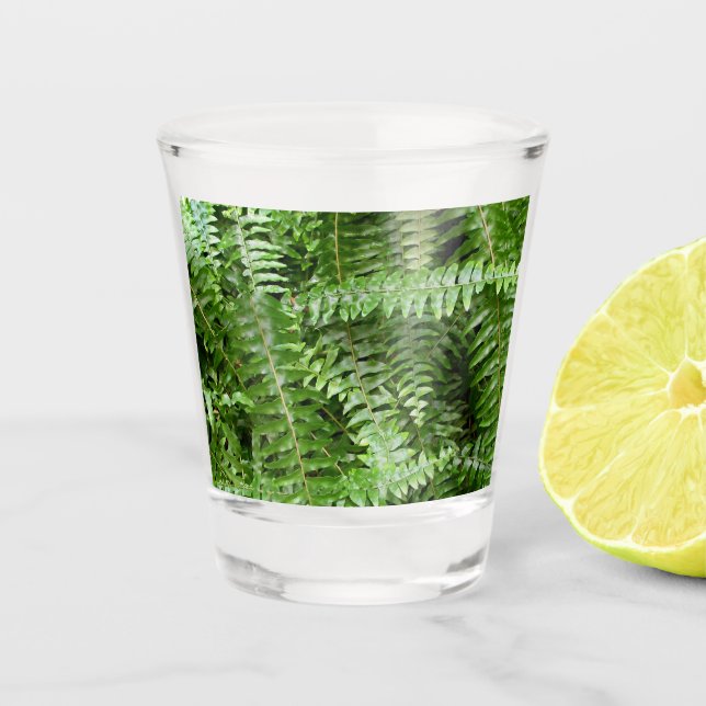 Fern Fronds I Green Nature Shot Glass (Front)