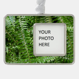 Fern Fronds I Green Nature Silver Plated Framed Ornament