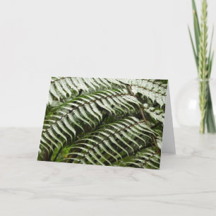 Fern Fronds II Dark Green Nature Card