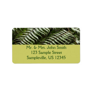Fern Fronds II Dark Green Nature Label