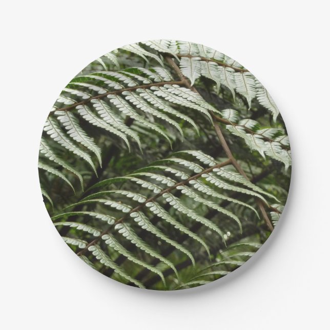 Fern Fronds II Dark Green Nature Paper Plate (Front)