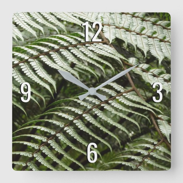 Fern Fronds II Dark Green Nature Square Wall Clock (Front)