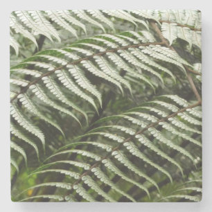 Fern Fronds II Dark Green Nature Stone Coaster
