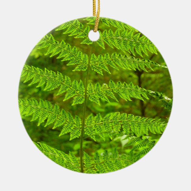 Fern Fronds III Green Nature Botanical Ceramic Ornament (Front)