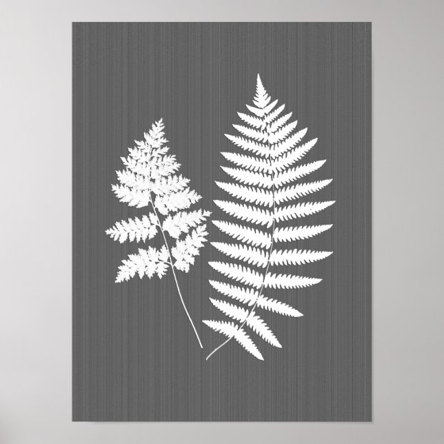 Fern Fronds, White on Charcoal Grey / Grey Poster (Front)