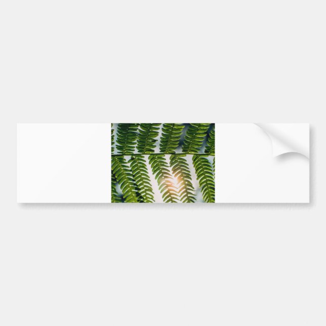 fern golly bumper sticker (Front)