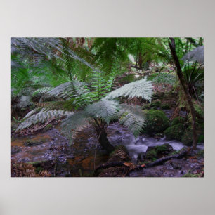 Fern gully poster