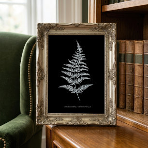 Fern - Gymnogramma Chrysophylla. X-ray effect – 01 Photo Print