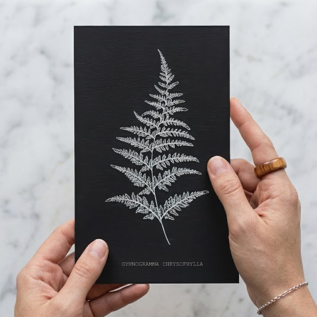 Fern - Gymnogramma Chrysophylla. X-ray effect – 01 Postcard (Golden Fern Frond, Gymnogramma Chrysophylla. Postcard)