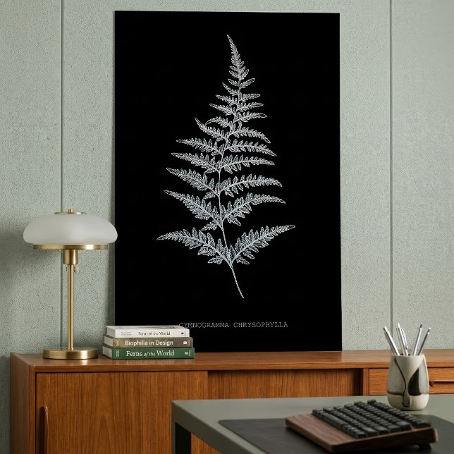 Fern - Gymnogramma Chrysophylla. X-ray effect – 01 Poster (Golden Fern Frond, Gymnogramma Chrysophylla. Poster)