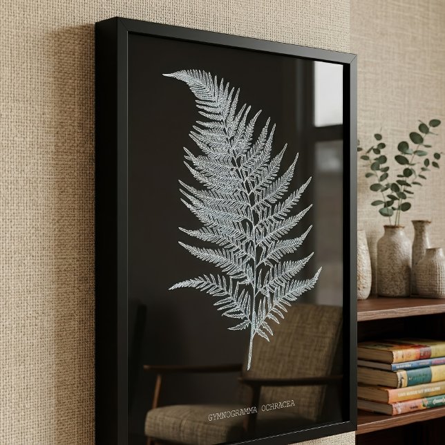 Fern - Gymnogramma Ochracea - X-ray effect - 02 Photo Print (Ochre Fern Frond, Gymnogramma Ochracea. Photo Print)