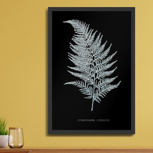 Fern - Gymnogramma Ochracea - X-ray effect - 02 Photo Print