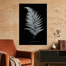 Fern - Gymnogramma Ochracea - X-ray effect - 02
