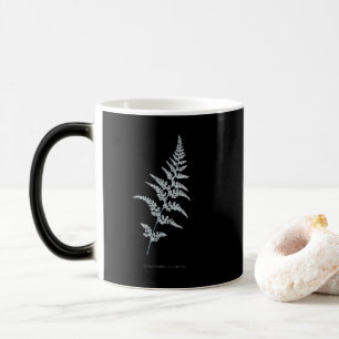 Fern - Gymnogramma Sulphurea - X-ray effect - 03 Magic Mug