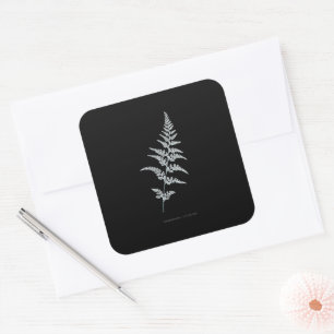 Fern - Gymnogramma Sulphurea - X-ray effect - 03 Square Sticker