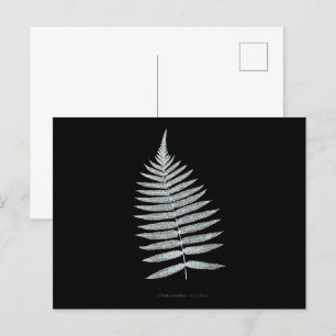 Fern - Gymnogramma Villosa - X-ray effect - 06 Postcard