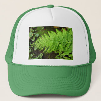 Fern Hat