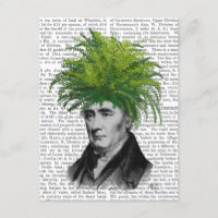 Fern Head Plant Head