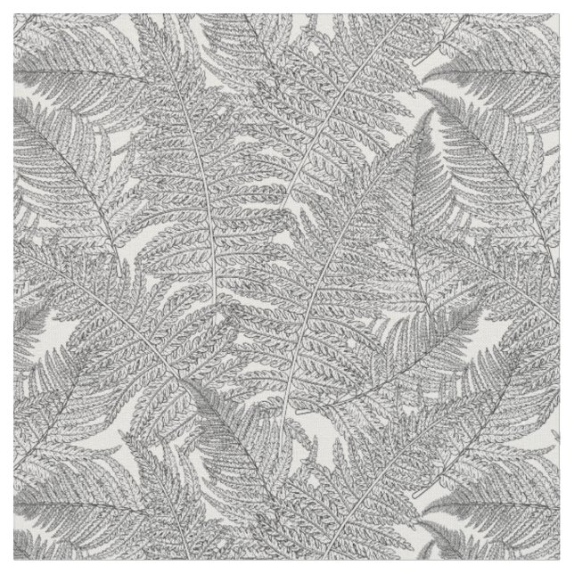 Fern in black and white fabric (Close Up)