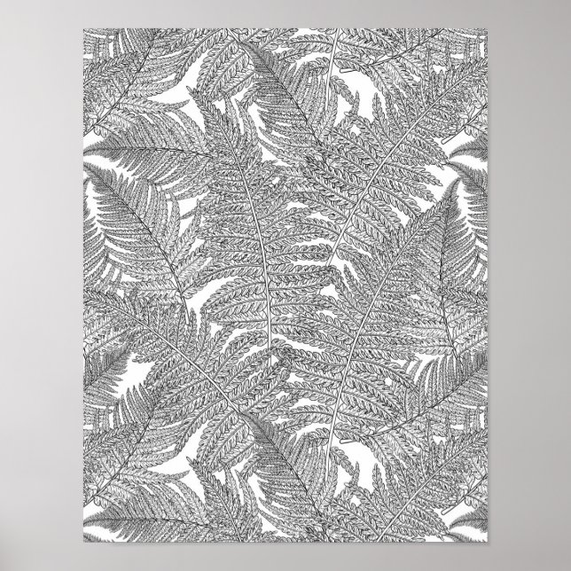 Fern in black and white poster (Front)