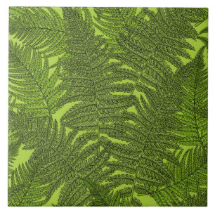 Fern in green ceramic tile