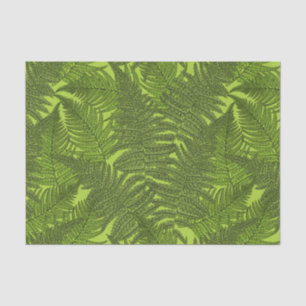 Fern in green tissue paper